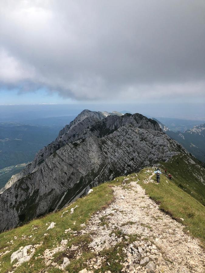 Pensiunea Aliart Maison d'hôtes Zărneşti